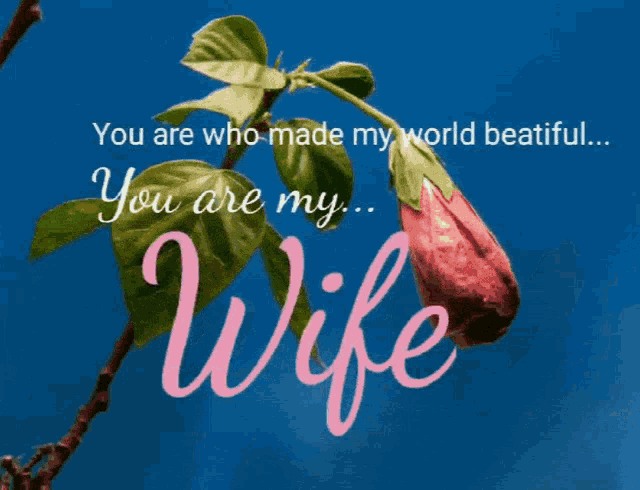 Wife Mothers Day GIF - Wife Mothers Day Happy Mothers Day GIFs