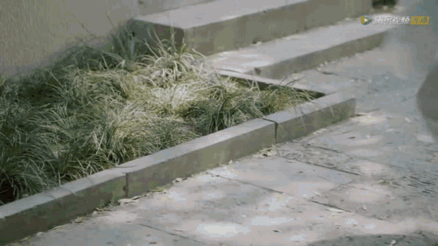 a corner of a sidewalk with chinese characters on the bottom right corner