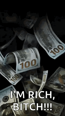 a bunch of money is falling from the sky and the words `` i 'm rich , bitch ! ''