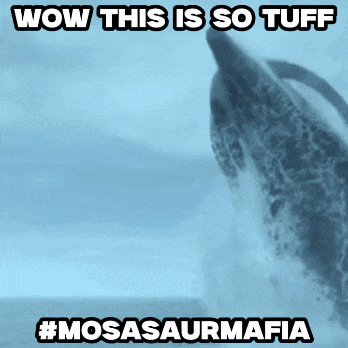 a picture of a dolphin with the caption wow this is so tuff