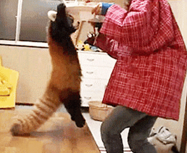 a woman in a red plaid jacket is standing next to a red panda