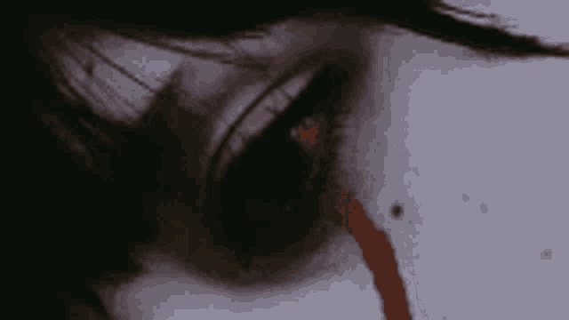 a close up of a woman 's eye with blood running down it
