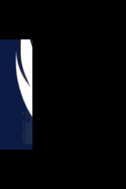 a majestik family logo with wings and a crown on a black background