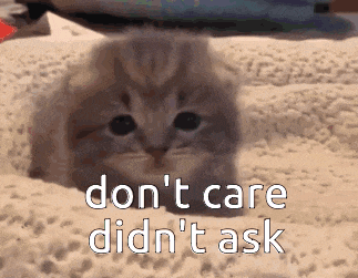 a kitten is laying on a carpet with the words do n't care did n't ask written above it .