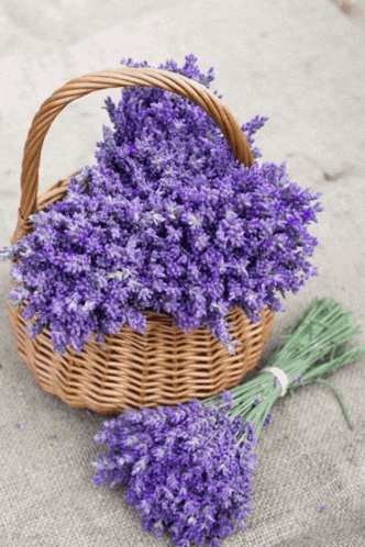 a wicker basket filled with purple flowers next to a bouquet of purple flowers