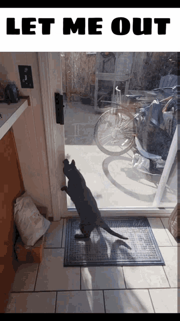 a cat standing on its hind legs in front of a sliding glass door with the words let me out below it