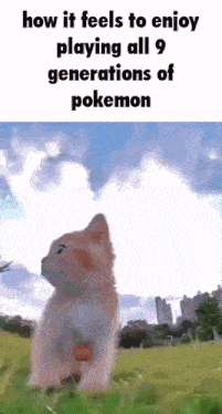 a cat standing in a field with the words how it feels to enjoy playing all 9 generations of pokemon on the bottom