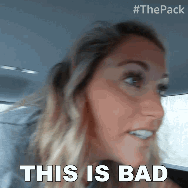 This Is Bad The Pack GIF - This Is Bad The Pack Bad Idea GIFs