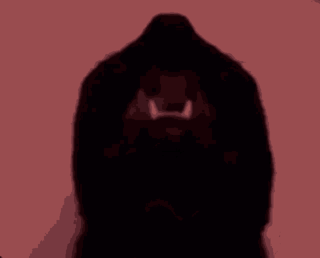 a close up of a black dog 's face with a red background and a smile on its face .