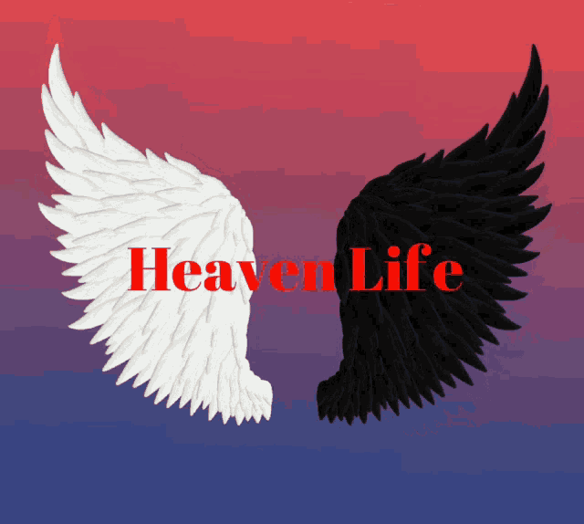 Heaven Life Update GIF - Heaven Life Update GIFs