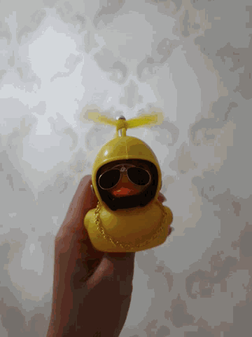a person is holding a yellow duck with sunglasses and a fan