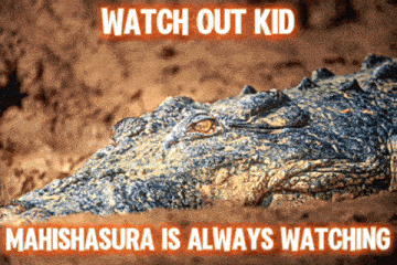 a crocodile with the words watch out kid mahishasura is always watching