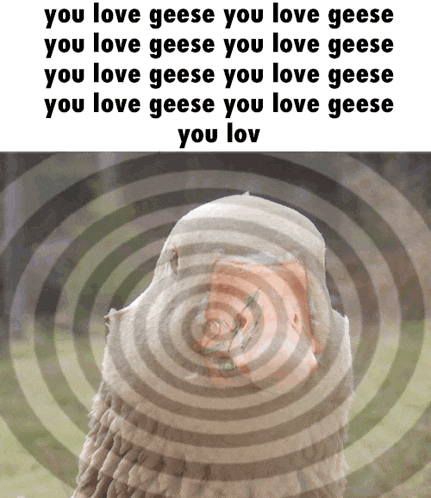 a picture of a goose with the words " you love geese you love geese " above it