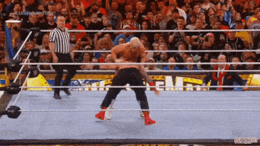 a wrestling ring with a referee and a sign that says " undisputed title " on it