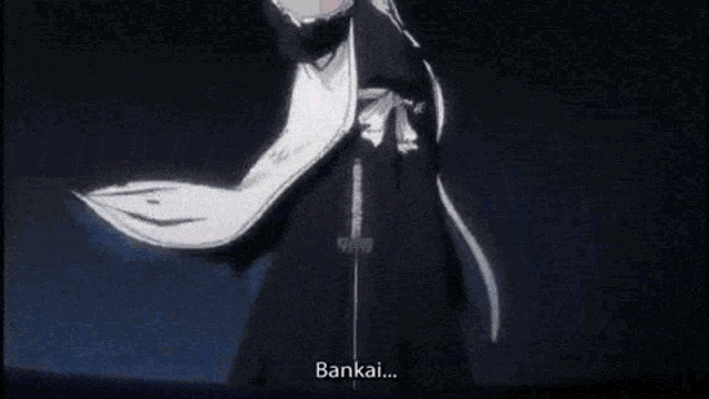 Bankai Byakuya GIF - Bankai Byakuya GIFs