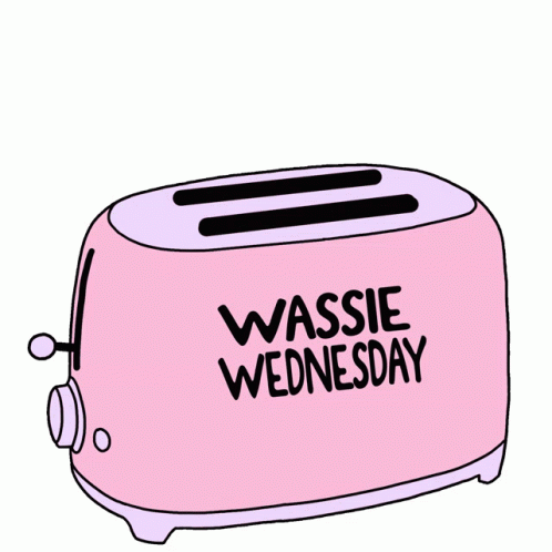 Wassie Wassie Wednesday GIF - Wassie Wassie Wednesday Wassies GIFs