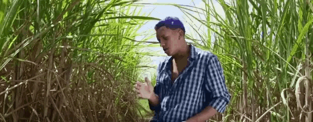 a man is standing in a field of tall grass and talking to someone .