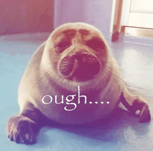 a seal laying down with the word ough written on it