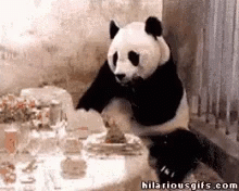Panda Eat GIF - Panda Eat Food GIFs