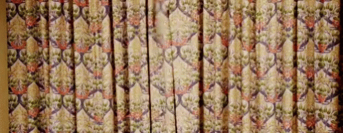 Here Curtain GIF - Here Curtain Open GIFs