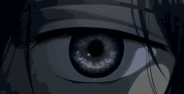a close up of a person 's eye with the letters ybl on the bottom right