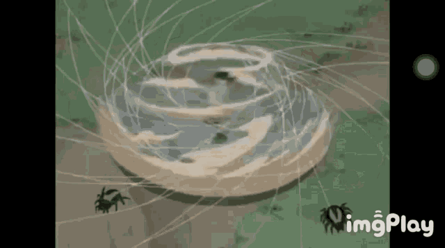 a drawing of a spider web with the words imgplay below it .