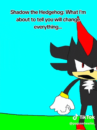 a cartoon of shadow the hedgehog with the caption " what i 'm about to tell you will change everything " .
