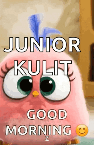 a pink angry bird says junior kulit good morning z