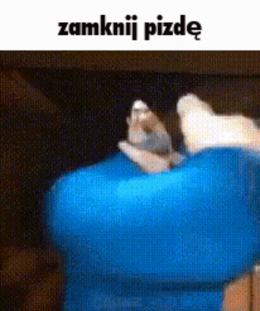 a picture of a cat laying on a blue pillow with the words zamknij pizdy written above it