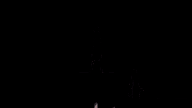 a group of people are standing on top of a podium .