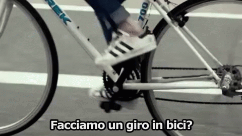 Bicicletta Bici Fare Un Giro Facciamo Un Giro In Bici Pedalare GIF - Bycicle Bike Go For A Bike Ride GIFs