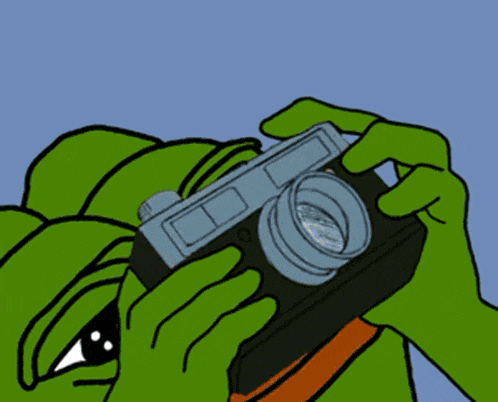 a cartoon of a green frog taking a picture with the word neat below it