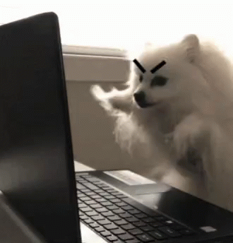 Dog Keyboard GIF