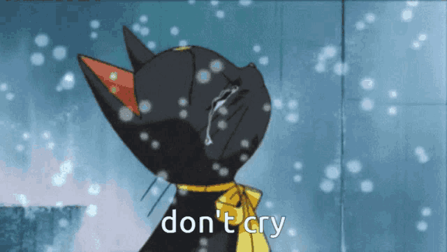 a black cat with a yellow bow around its neck is crying in the snow with the words " don 't cry " below it