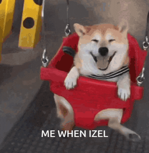 a dog is sitting in a red swing with the words me when izel written below it