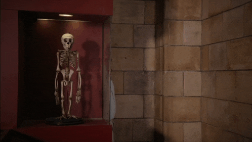 a man looking at a skeleton in a display case