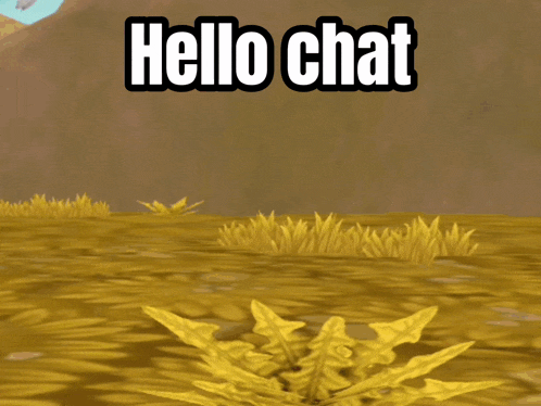 a cartoon drawing of a cat with the words hello chat above it