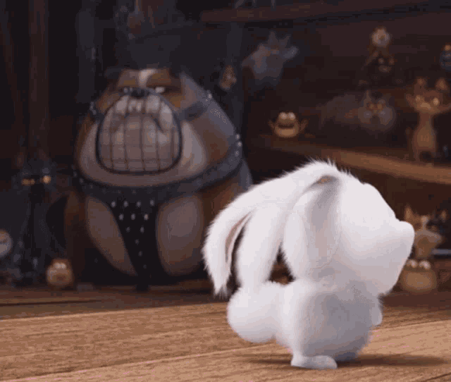 Snowball Rocksideroad GIF - Snowball Rocksideroad Excited GIFs