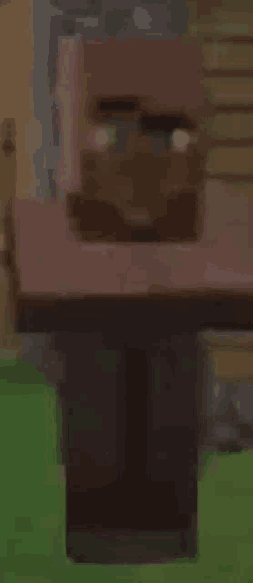 Villager Sus Meme