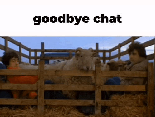 a sheep is behind a wooden fence and says goodbye chat