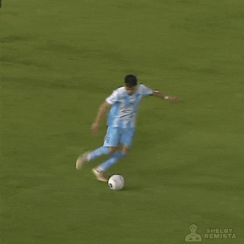 a soccer player is laying on the ground with the word fatality written above him