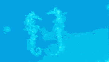 a seahorse is drawn on the surface of a blue ocean .