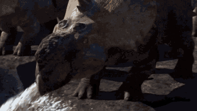 Triceratops Dinosaur GIF - Triceratops Dinosaur Jurassic Park GIFs