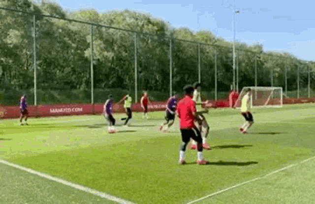 a group of soccer players are playing soccer on a field .