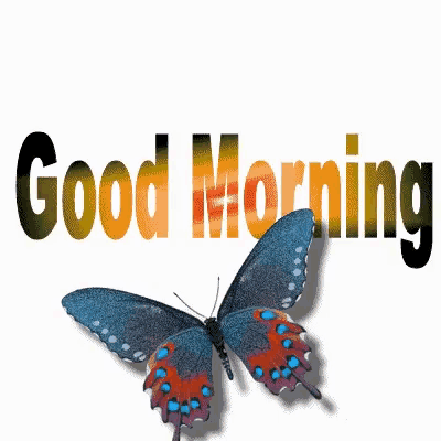a butterfly is sitting in front of the word good morning