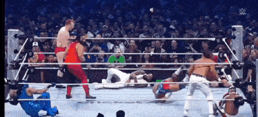 a group of wrestlers are in a wrestling ring with a crowd watching