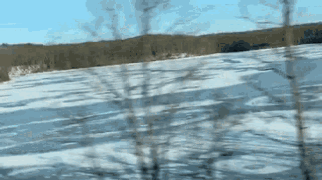 a frozen lake surrounded by trees on a sunny day