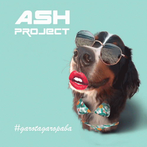Ash Ash Project GIF - Ash Ash Project Project GIFs