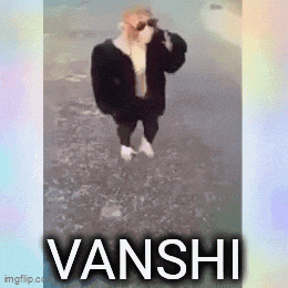 a picture of a dog wearing sunglasses and a jacket with the name vanshi written on it