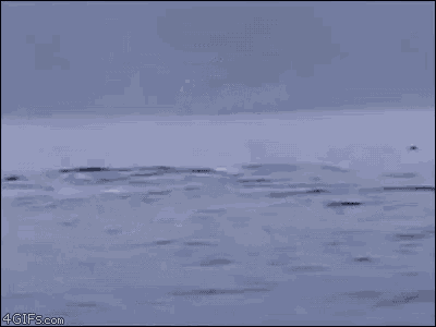 a gif of a plane flying over the ocean